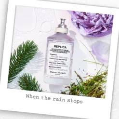 Maison Margiela REPLICA When The Rain Stops - Eau De Toilette Format Voyage -Populaire Parfums P10026308 3