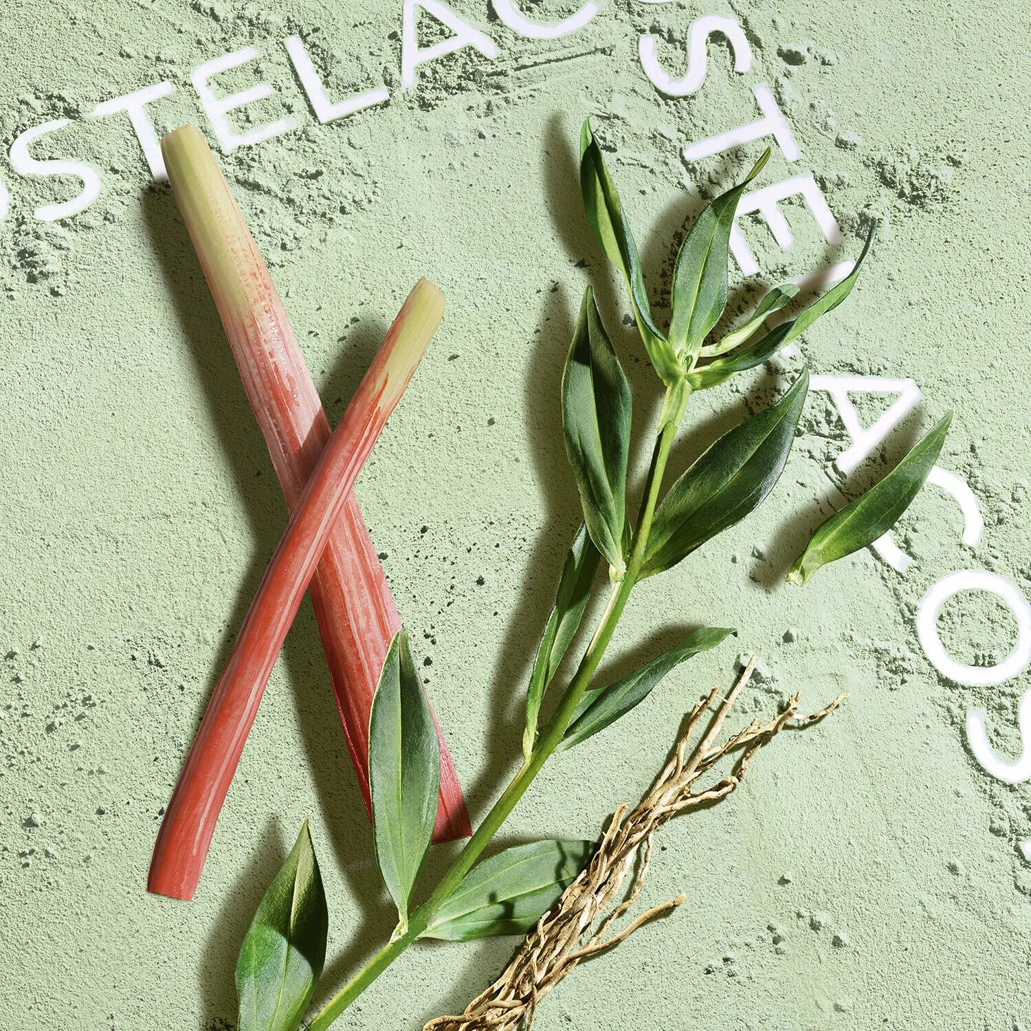 Lacoste Match Point Cologne - Eau De Toilette 4 Lacoste Match Point Cologne - Eau De Toilette – Image 4