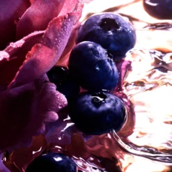 Guerlain La Petite Robe Noire - Eau De Parfum Intense -Populaire Parfums P10042194 2