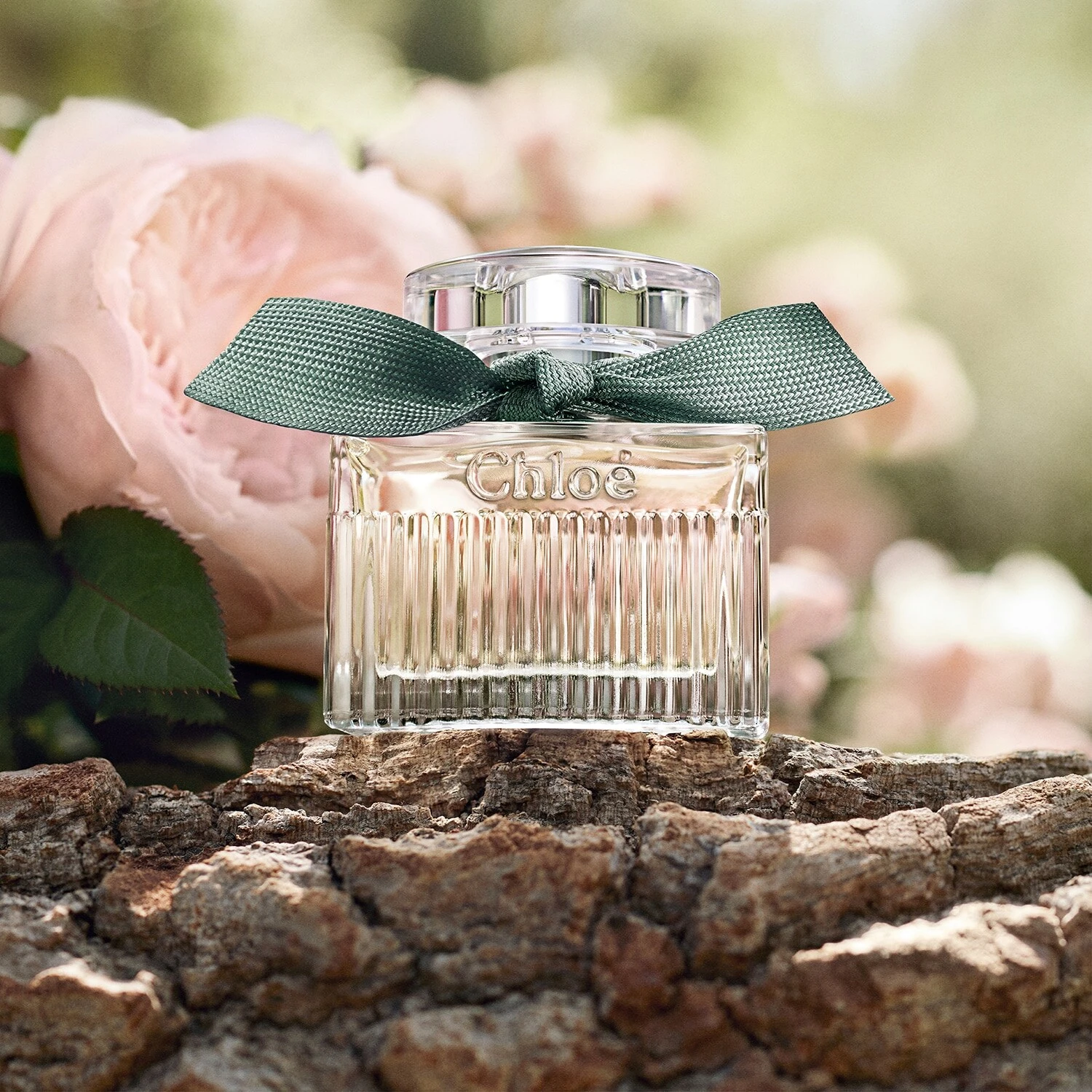 Chloé Rose Naturelle Intense - Eau De Parfum Rechargeable 4 Chloé Rose Naturelle Intense - Eau De Parfum Rechargeable – Image 4