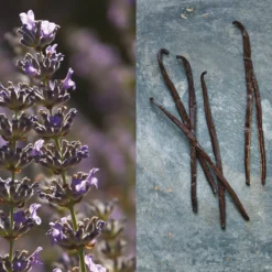 Pour Un Homme De CARON - Coffret Eau De Toilette -Populaire Parfums P10045911 3