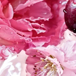 Guerlain La Petite Robe Noire - Rose Cherry - Eau De Parfum -Populaire Parfums P10047438 2