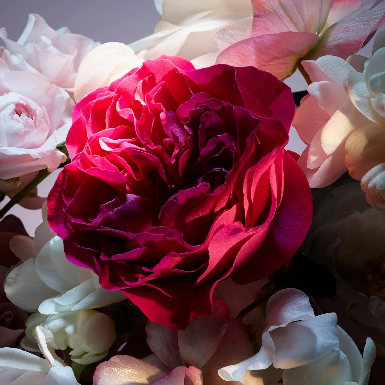 Lancome La Nuit Trésor - Fleur De Nuit - Eau De Parfum Florale 4 Lancome La Nuit Trésor - Fleur De Nuit - Eau De Parfum Florale – Image 4