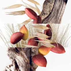 Hermès Un Jardin à Cythère - Recharge Eau De Toilette 7 Hermès Un Jardin à Cythère - Recharge Eau De Toilette -Populaire Parfums P10048205 3