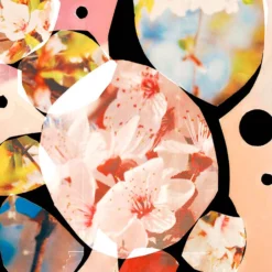 Sakura Cherry Blossom - Eau De Cologne -Populaire Parfums P10048855 5