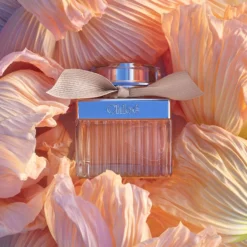 Chloé Signature - Coffret Eau De Parfum -Populaire Parfums P10048863 3