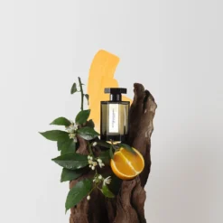 Histoire D'orangers - Eau De Parfum 5 Histoire D'orangers - Eau De Parfum -Populaire Parfums P10049167 2