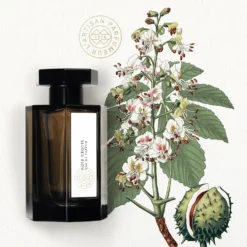 Noir Exquis - Eau De Parfum -Populaire Parfums P10049176 2