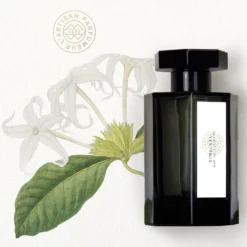 Timbuktu - Eau De Toilette 5 Timbuktu - Eau De Toilette -Populaire Parfums P10049182 2