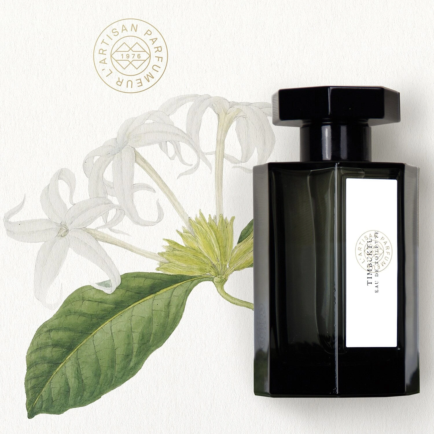 Timbuktu - Eau De Toilette 3 Timbuktu - Eau De Toilette – Image 3