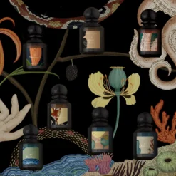 Arcana Rosa - Eau De Parfum -Populaire Parfums P10049200 3