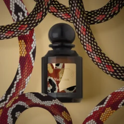 Venenum - Eau De Parfum 6 Venenum - Eau De Parfum -Populaire Parfums P10049205 2