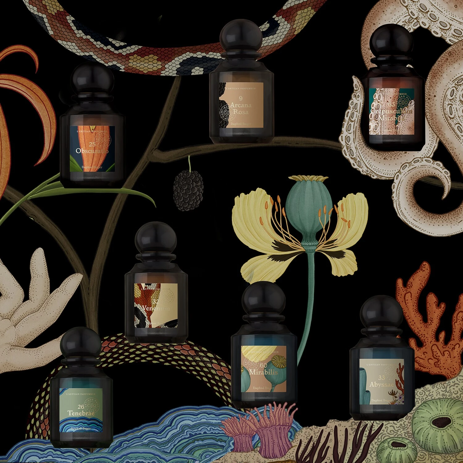 Venenum - Eau De Parfum 4 Venenum - Eau De Parfum – Image 4