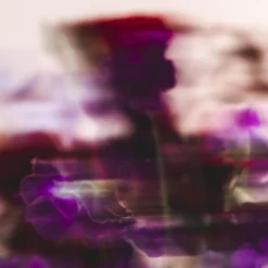 Sisley L'Eau Rêvée D'Eliya - Eau De Toilette 11 Sisley L'Eau Rêvée D'Eliya - Eau De Toilette -Populaire Parfums P10049259 5