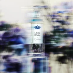Sisley L'Eau Rêvée D'Ikar - Eau De Toilette -Populaire Parfums P10049261 4