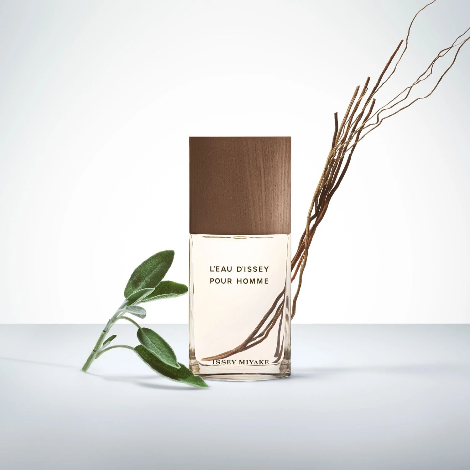 Issey Miyake L'Eau D'Issey Pour Homme Vétiver - Eau De Toilette Intense 3 Issey Miyake L'Eau D'Issey Pour Homme Vétiver - Eau De Toilette Intense – Image 3