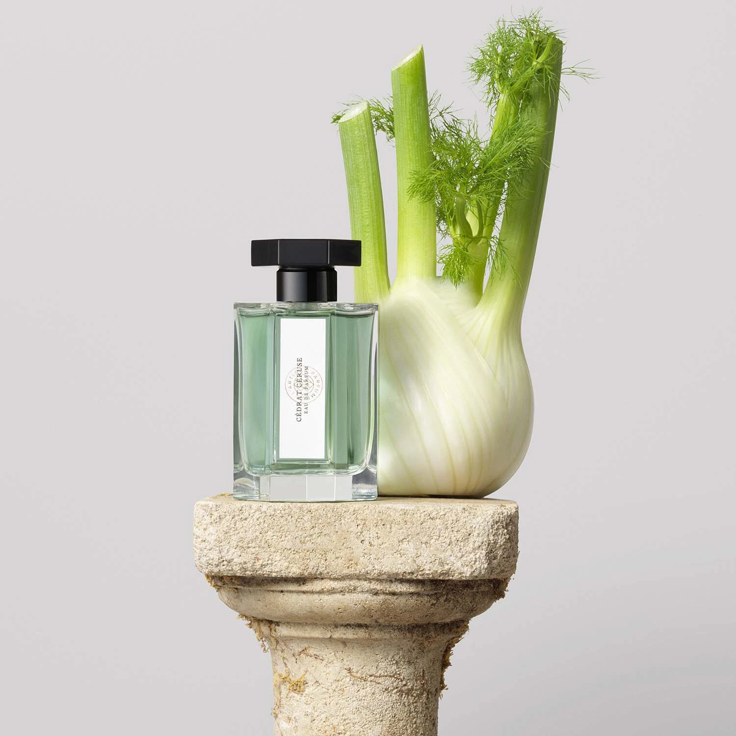 Cedrat Ceruse - Eau De Cologne 4 Cedrat Ceruse - Eau De Cologne – Image 4