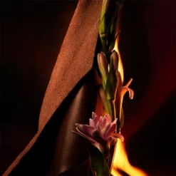 Bvlgari Man In Black - Eau De Parfum -Populaire Parfums P1896002 3