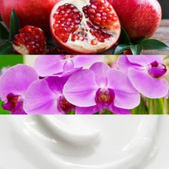 Calvin Klein EUPHORIA - Eau De Parfum -Populaire Parfums P9201 2