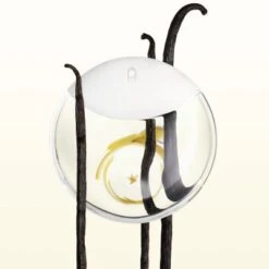 Issey Miyake A Drop D'Issey Eau De Parfum -Populaire Parfums a drop d issey 4