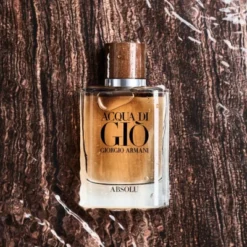 Armani Acqua Di Gio Absolu Eau De Parfum -Populaire Parfums adgh absolu edp 2