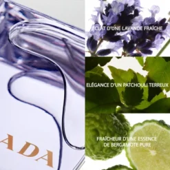 Prada Amber Pour Homme Eau De Toilette -Populaire Parfums amber pour homme eau de toilette 3