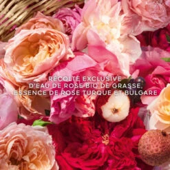 Guerlain Aqua Allegoria Harvest Rosa Rossa Eau De Toilette 10 Guerlain Aqua Allegoria Harvest Rosa Rossa Eau De Toilette -Populaire Parfums aqua allegoria harvest nerolia vetiver 10