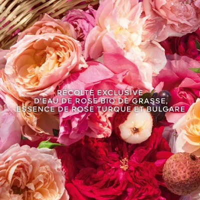 Guerlain Aqua Allegoria Harvest Rosa Rossa Eau De Toilette 3 Guerlain Aqua Allegoria Harvest Rosa Rossa Eau De Toilette – Image 3