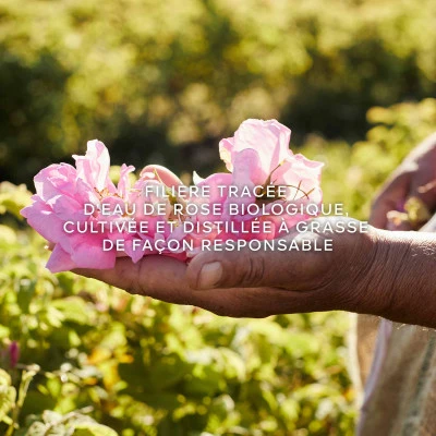 Guerlain Aqua Allegoria Harvest Rosa Rossa Eau De Toilette 5 Guerlain Aqua Allegoria Harvest Rosa Rossa Eau De Toilette – Image 5