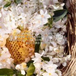 Guerlain Aqua Allegoria Harvest Nerolia Vetiver Eau De Toilette -Populaire Parfums aqua allegoria harvest nerolia vetiver 2