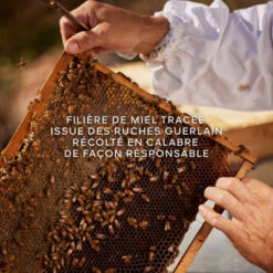 Guerlain Aqua Allegoria Harvest Nerolia Vetiver Eau De Toilette -Populaire Parfums aqua allegoria harvest nerolia vetiver 4