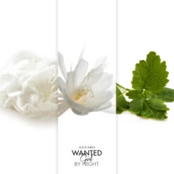 Azzaro Wanted Girl By Night Eau De Parfum -Populaire Parfums azzaro wanted girl by night eau de parfum 2