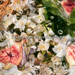 Guerlain Coffret Aqua Allegoria Nerolia Vetiver Coffret Pour Femme -Populaire Parfums coffret aqua allegoria nerolia vetiver eau de toilette 4