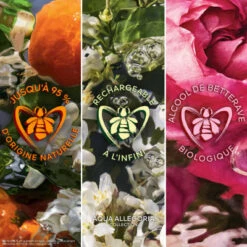 Guerlain Coffret Aqua Allegoria Nerolia Vetiver Coffret Pour Femme -Populaire Parfums coffret aqua allegoria nerolia vetiver eau de toilette 5