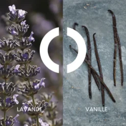 Coffret Pour Un Homme De CARON Coffret Pour Homme -Populaire Parfums coffret pour un homme de caron 2