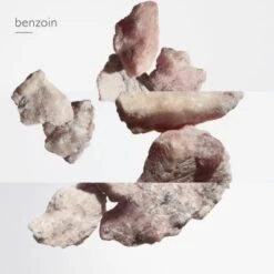 Hermès Eau Des Merveilles Eau De Toilette -Populaire Parfums eau merveille edt 5