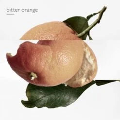 Hermès Eau Des Merveilles Eau De Toilette -Populaire Parfums eau merveille edt 6