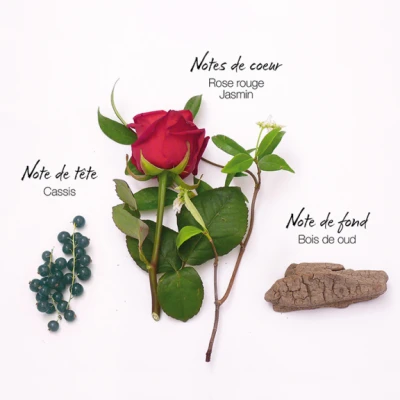 Mauboussin Elixir Pour Elle Eau De Parfum 3 Mauboussin Elixir Pour Elle Eau De Parfum â Image 3