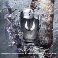 Paco Rabanne Invictus Platinum Eau De Parfum -Populaire Parfums invictus platinum eau de parfum 2