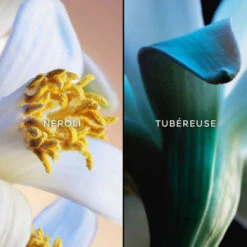 Guerlain Jardins De Bagatelle Eau De Toilette -Populaire Parfums jardins de bagatelle eau de toilette 2