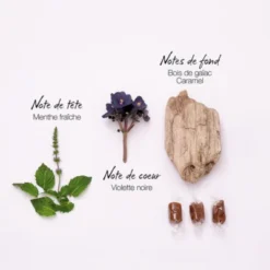 Mauboussin Pour Lui In Black Eau De Parfum -Populaire Parfums lui in black edp 2