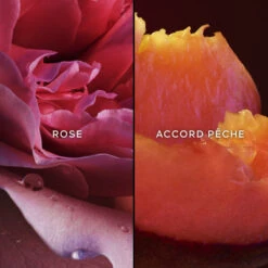 Guerlain Nahema Eau De Parfum 9 Guerlain Nahema Eau De Parfum -Populaire Parfums nahema edp 2