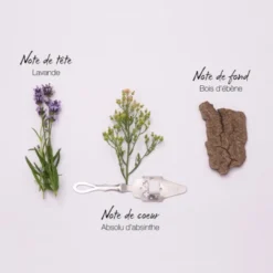 Mauboussin Pour Lui Eau De Parfum -Populaire Parfums pour lui eau de parfum 3