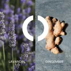 Pour Un Homme De CARON Le Matin Eau De Toilette Vivifiante 11 Pour Un Homme De CARON Le Matin Eau De Toilette Vivifiante -Populaire Parfums pour un homme de caron le matin 3