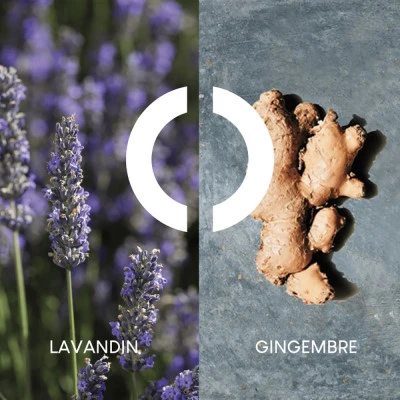 Pour Un Homme De CARON Le Matin Eau De Toilette Vivifiante 4 Pour Un Homme De CARON Le Matin Eau De Toilette Vivifiante – Image 4