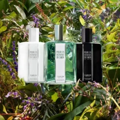 Pour Un Homme De CARON Le Matin Eau De Toilette Vivifiante 14 Pour Un Homme De CARON Le Matin Eau De Toilette Vivifiante -Populaire Parfums pour un homme de caron le matin 6