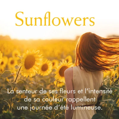 Elizabeth Arden Sunflowers Eau De Toilette 5 Elizabeth Arden Sunflowers Eau De Toilette – Image 5