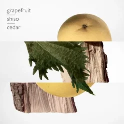 Terre D'Hermès Parfum -Populaire Parfums terre hermes parf 1 4