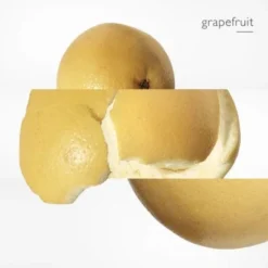 Terre D'Hermès Parfum -Populaire Parfums terre hermes parf 1 5