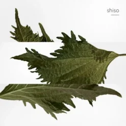 Terre D'Hermès Parfum -Populaire Parfums terre hermes parf 1 7